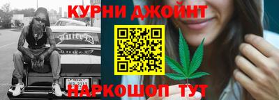 прущие грибы Кандалакша