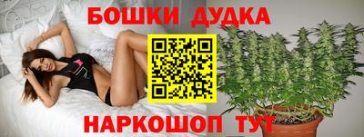 прущие грибы Кандалакша