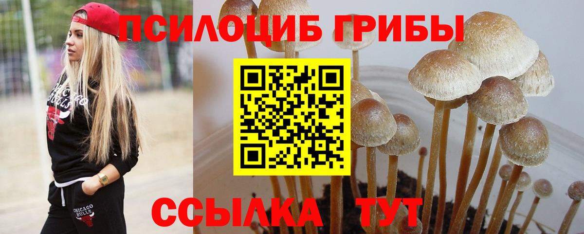 Галлюциногенные грибы GOLDEN TEACHER  Псилоцибиновые грибы ЛСД  Великий Устюг  Вход с VPN 
