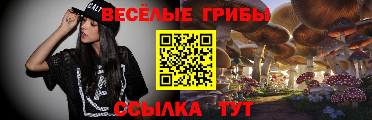 Псилоцибиновые грибы Psilocybine cubensis Великий Устюг