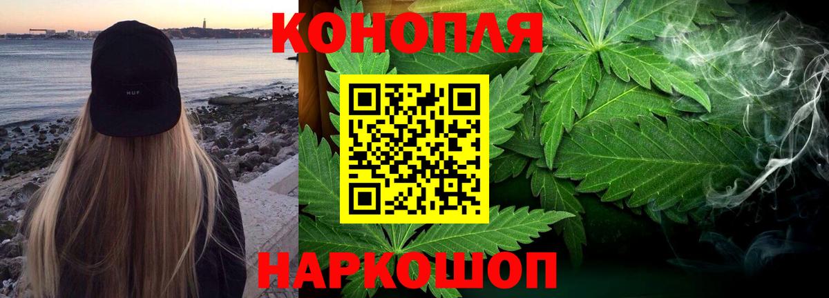 Бошки Шишки марихуана  Каннабис планчик  Вход с VPN  Марихуана марихуана  Великий Устюг  Канабис Bruce Banner 